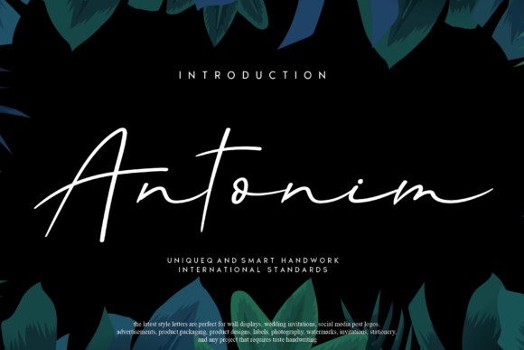 Antonim Font: Elegant Script for Editorial Design