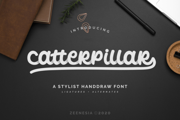 Catterpillar Font: Elegant Script for Business