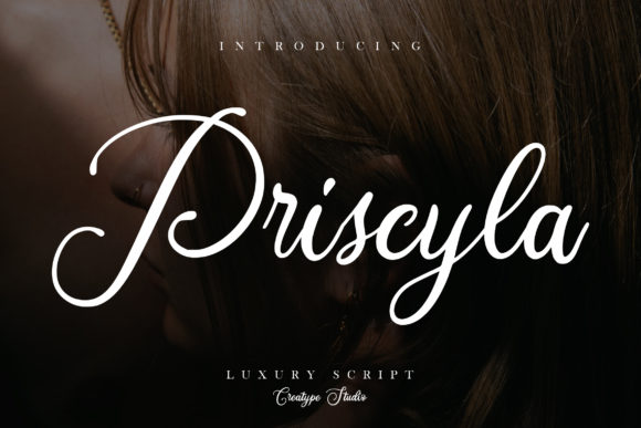 Priscyla: A Flowing Script for Creative Campaigns