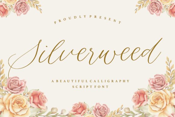 Silverweed Font for Elegant Design