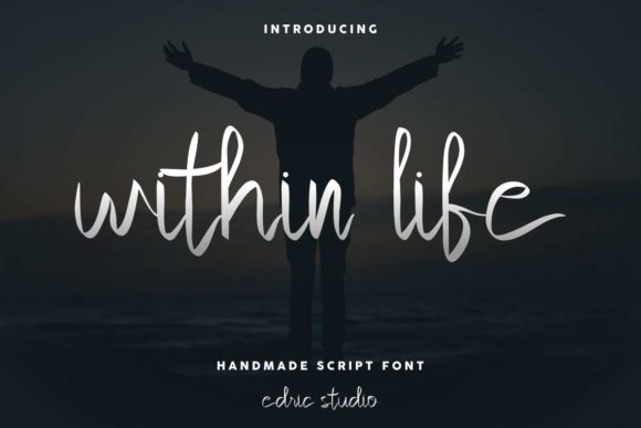 Within Life Font: Elegant Script for Web Design